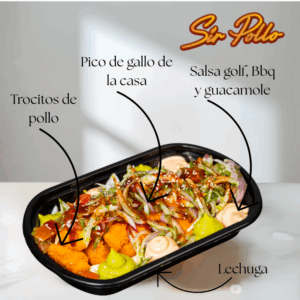 CEVICHE DE POLLO